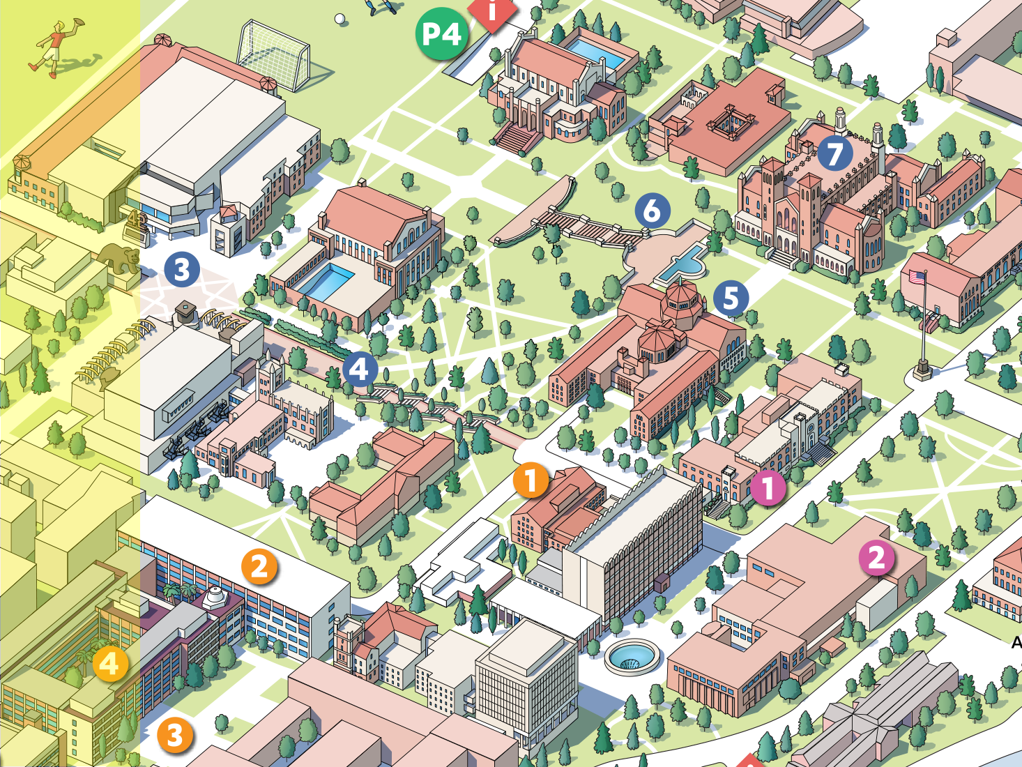 An image of an illustrated map of campus
