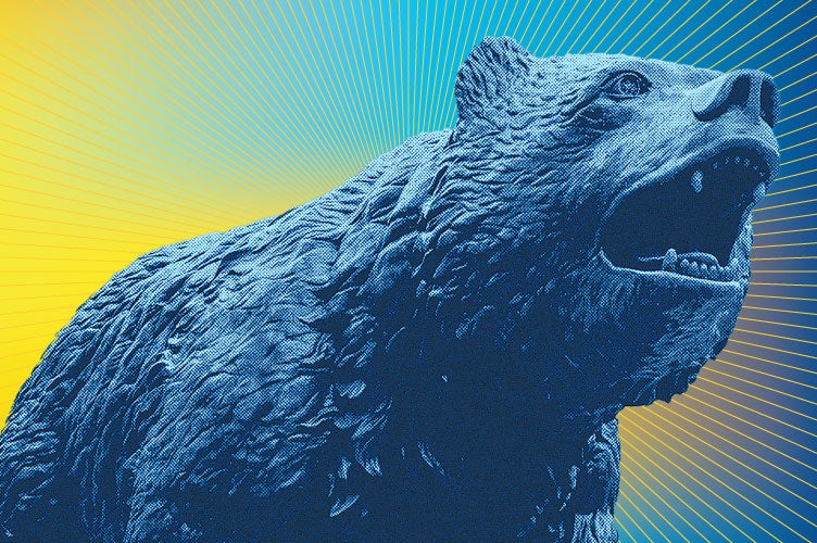 UCLA Bruin