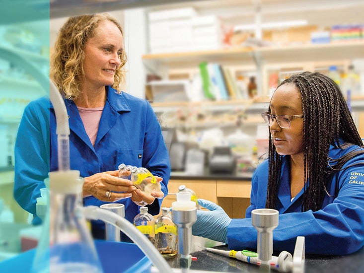 Professor Tracy Johnson talks with two students in her lab.