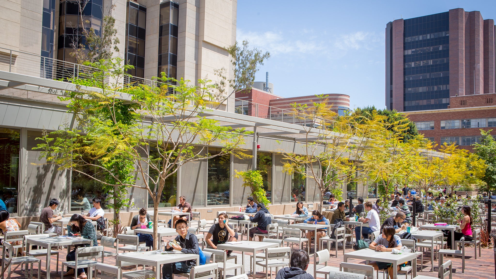 Los estudiantes estudian, comen y se relajan en las mesas al aire libre del Bombshelter Bistro.