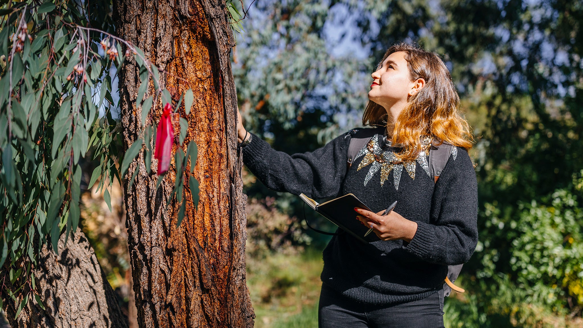 A student observes the bark of a tree and makes notes.