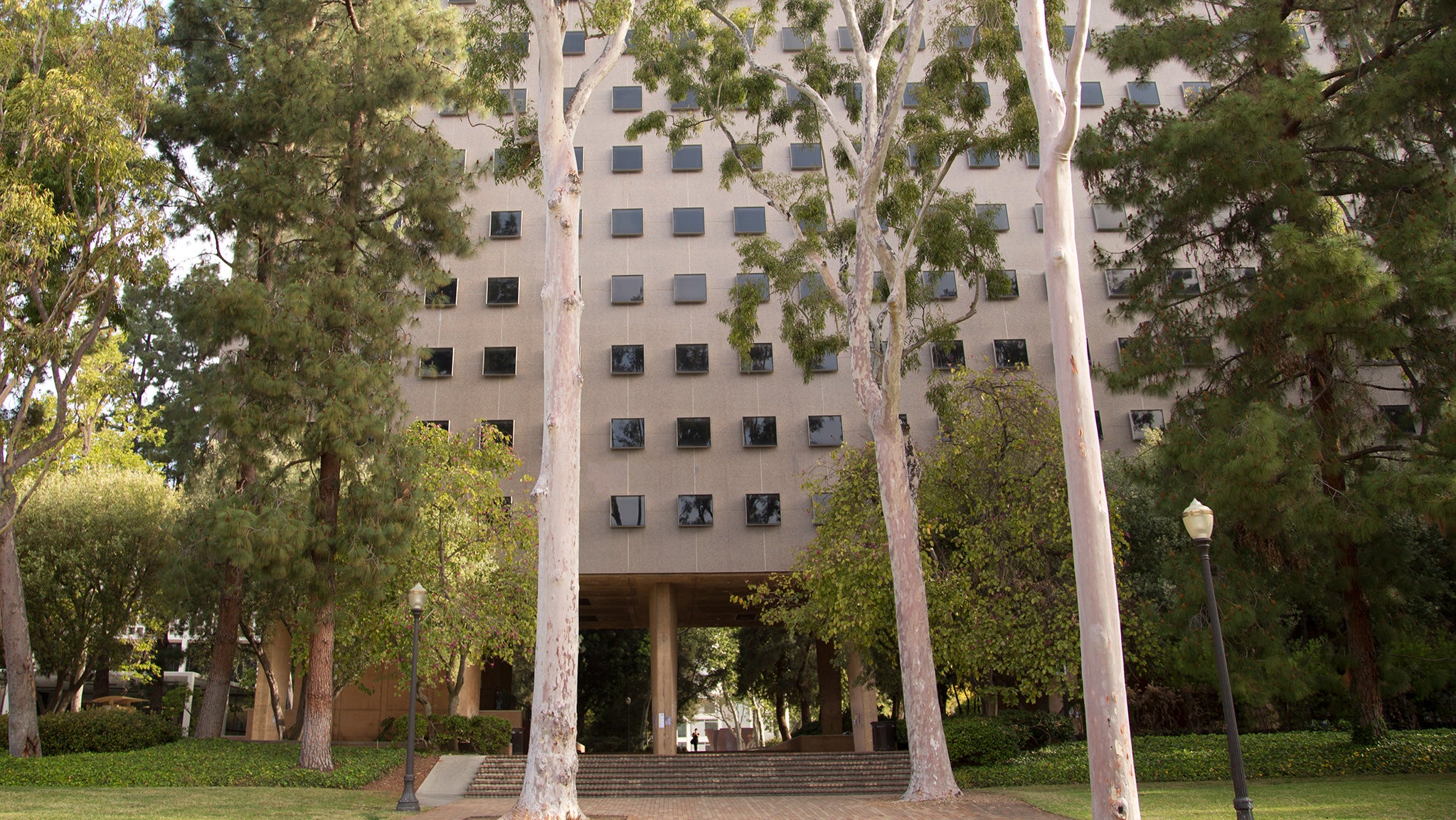 Bunche Hall is shaded by pretty trees.