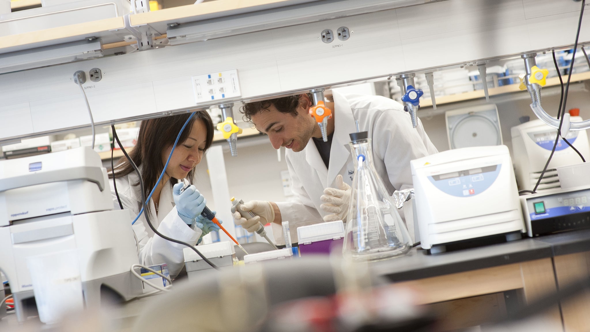 Two students conduct stem cell research in a lab.